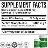Clinora Zeolite Detox Powder | Ultra FINE Less-Than 1 µm | Clinoptilolite 95% | High Purity | for Full Body Cleanse | Gut Health | Energy | Immune & pH Support | Natural Mineral | 1 lb (454g)
